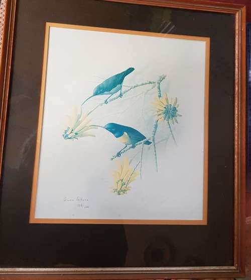 Simon Calburn Signed Limited Edtion  226/500   1978