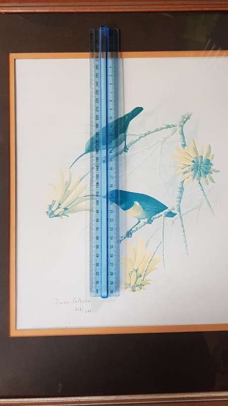 Simon Calburn Signed Limited Edtion  226/500   1978