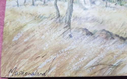 Mashonaland Print mounted on Chipboard - Chrystal Wynn
