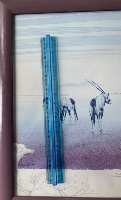 The Gemsbok Rainment 55cm X 45cm