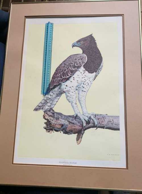 Kenneth Newman Litho Print Signed