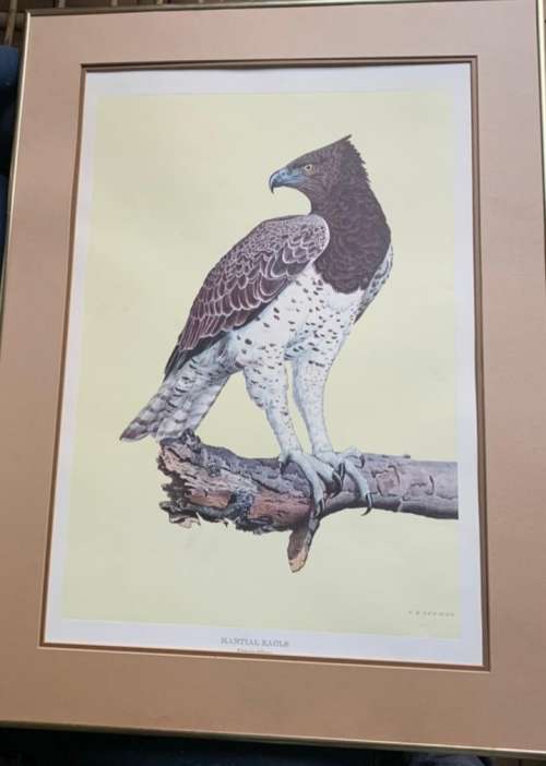 Kenneth Newman Litho Print Signed