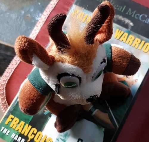 Springboks Rugby François Pienaar, signed ! and Richie McCaw and Springboks mascot