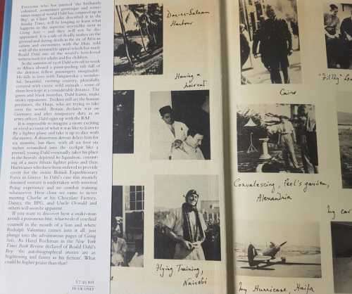 Roald Dahl  The Twits AND Going Solo