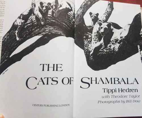 Shambala - The Cats of Shambala The extraordinary story of an actresss life with the big cats