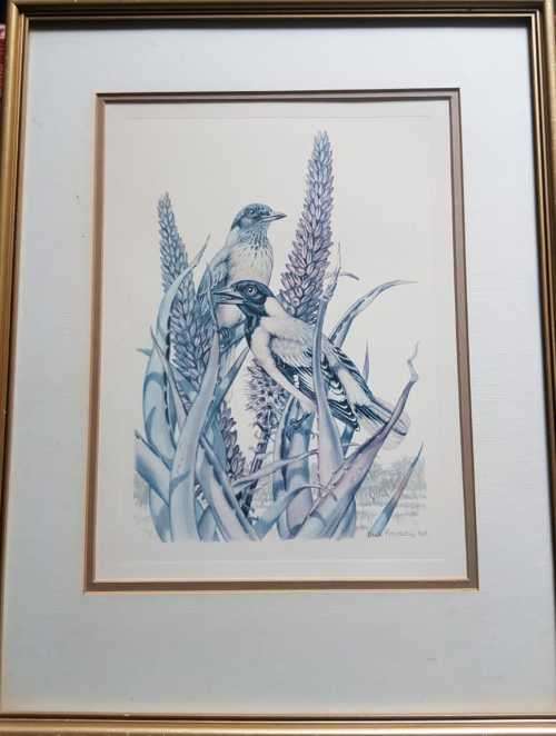 This is an original vintage folio print dated 1968, not a reproduction or modern copy Dick Findlay