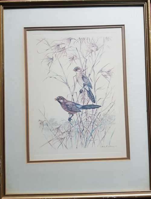 Vintage Folio Dick Findlay Print 1968 Original Not Reproduction