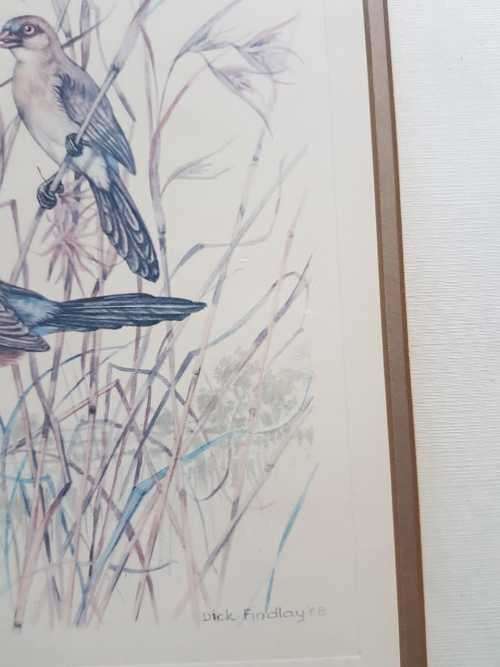 Vintage Folio Dick Findlay Print 1968 Original Not Reproduction