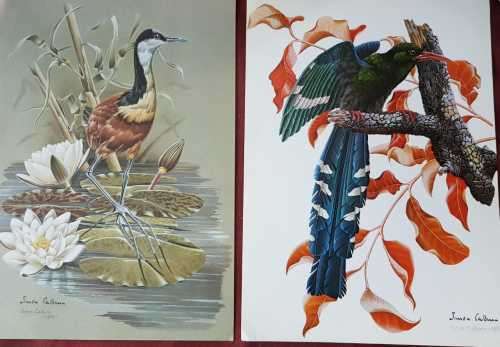 Simon Calburn signed limited edition prints 1967 and 1969 Birds