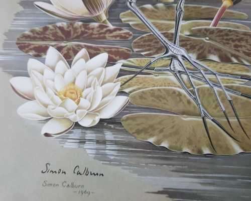 Simon Calburn signed limited edition prints 1967 and 1969 Birds