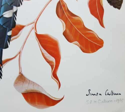 Simon Calburn signed limited edition prints 1967 and 1969 Birds