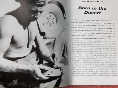 SAS Gulf Warriors  The story behind Bravo Two Zero by Steve Crawford