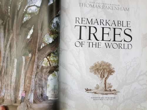 Remarkable Trees of the World, by Thomas Pakenham First Edition coffee table book