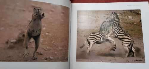 Earth Ark Signed Rare copy illustrations