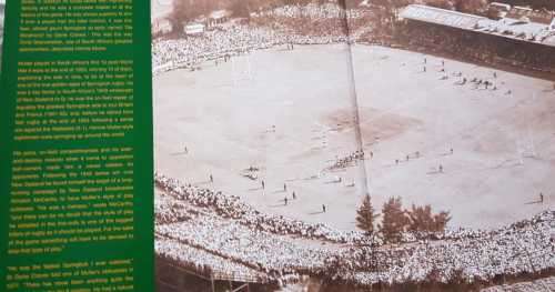 Rugby Springboks
