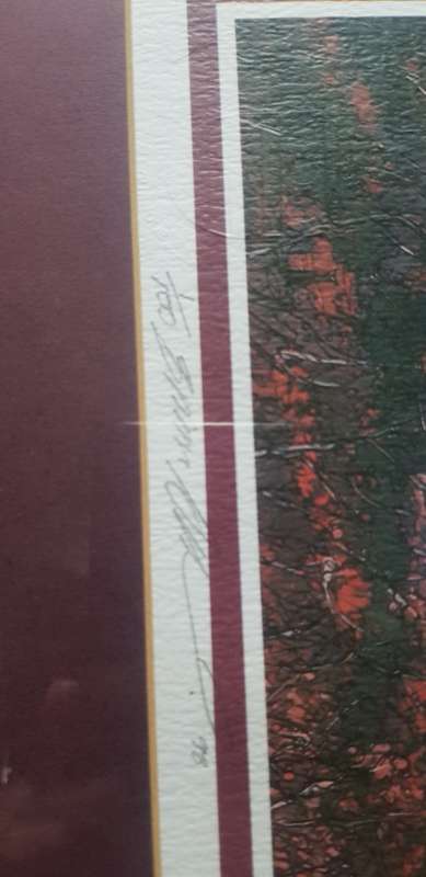 BRIAN ADNAM RARE SIGNED LIMITED EDITION PRINT