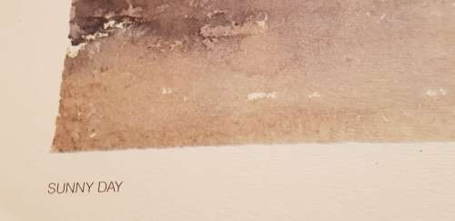 SUNNY DAY print signature reflecting Durant Basi Sihlali