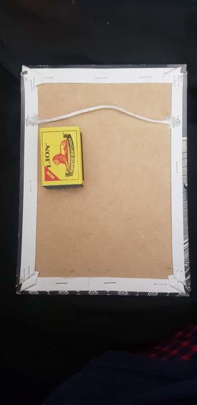 Einstein CANVAS ON BOARD
