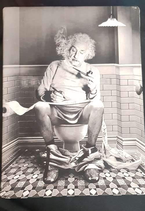 Einstein CANVAS ON BOARD