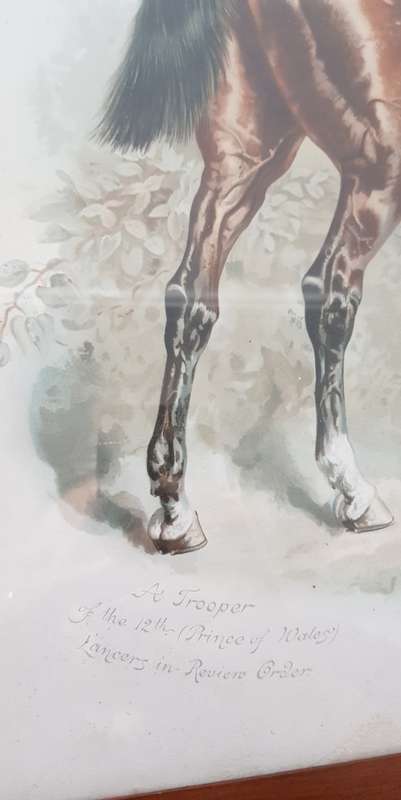 Harry Payne Litho Print