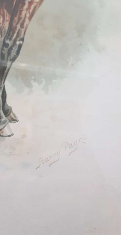 Harry Payne Litho Print