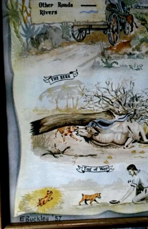 JOCK OF THE BUSHVELD Pictorial Map by E Buckley 1957