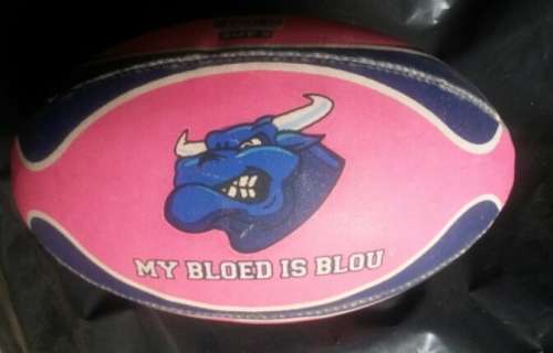 Blue Bull Rugby Ball