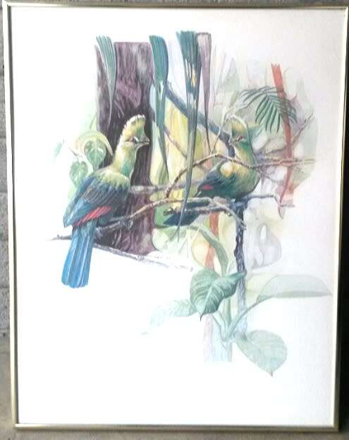 Mark Enslin  Knysna Loerie  Lithograph/ Print