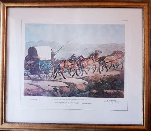 BOER CAPE BOER RETURNING FROM MARKET (1855)  LITHO/PRINT  1973