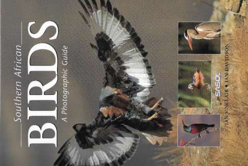Birds SASOL Southern African Birds