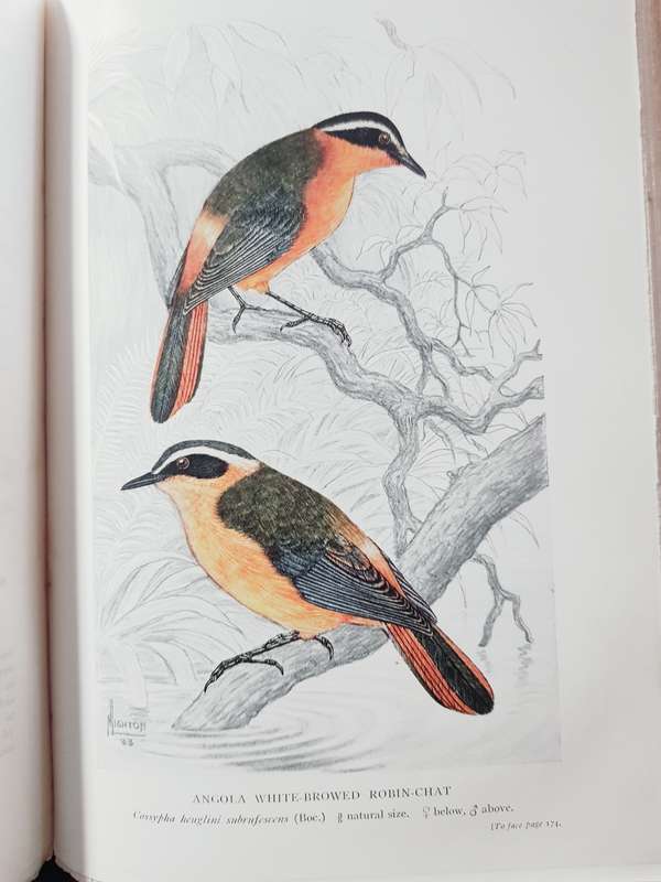 Birds of Southern Rhodesia Volume 3