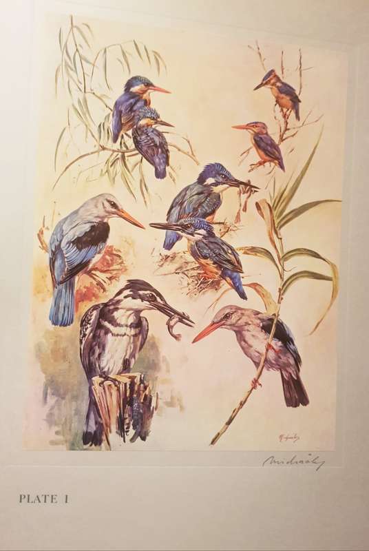 BIRDS OUR BIRDS SIGNED FIRST PRINTING H von MICHAELS BIRDS