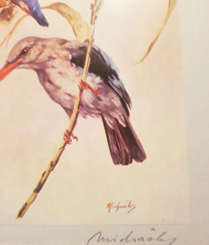 BIRDS OUR BIRDS SIGNED FIRST PRINTING H von MICHAELS BIRDS