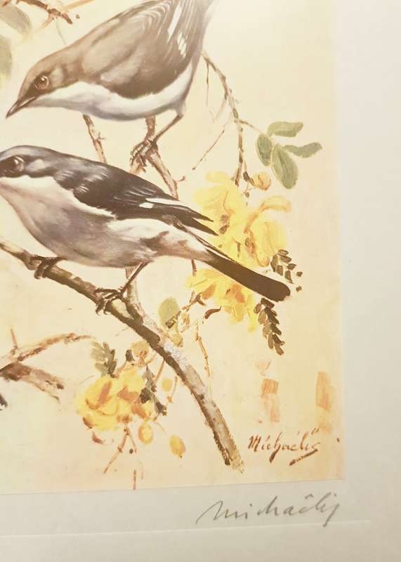 BIRDS OUR BIRDS SIGNED FIRST PRINTING H von MICHAELS BIRDS