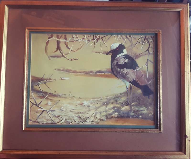 Birds Shirley Walsh Oil on Board Birds