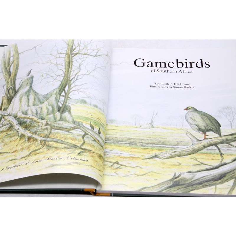 Birds Gamebirds of Southern Africa Birds
