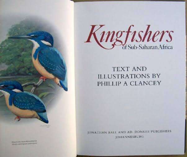 Birds Kingfishers Birds sub Saharan Africa Birds