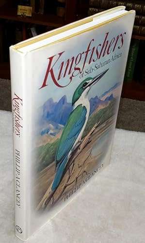 Birds Kingfishers Birds sub Saharan Africa Birds