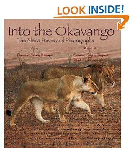 Into the Okavango  The Africa Poems and Photographs