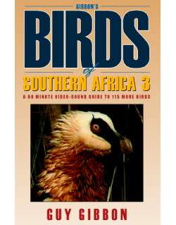 Birds of Southern Africa