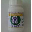 Vitamin C - 60 capsules
