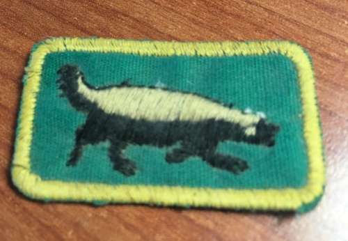 SWA Cloth tracker qualification badge
