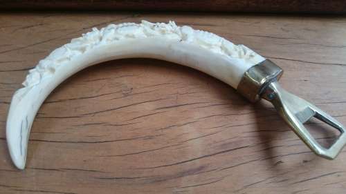 Bottle opener Warthog Vlakvark Tusk