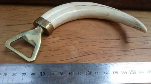 Bottle opener Warthog Vlakvark Tusk