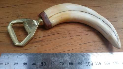 Bottle opener Warthog Vlakvark Tusk