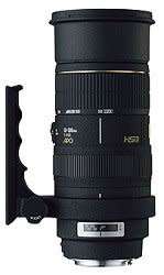 Nikon DSLR body + Sigma 50-500mm f/4-6.3 EX DG HSM APO + NIKON D70S Dslr