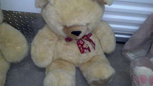 big teddy