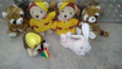 teddy collection