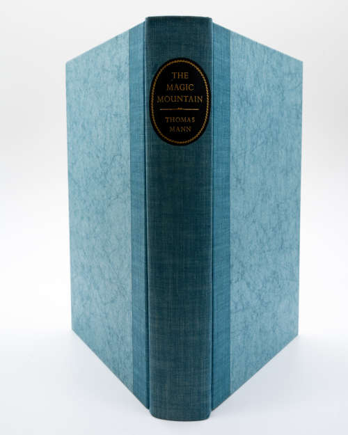 The Magic Mountain by Thomas Mann