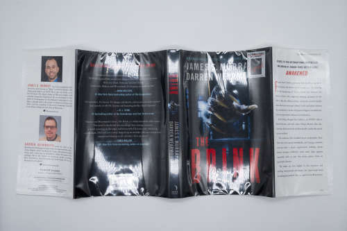 The Brink - an Awakened Novel Book 2 by James S Murray and Darren Wearmouth